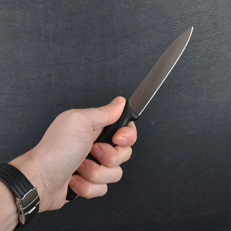 Кухонный нож Victorinox Standard Paring 5.0703 черный