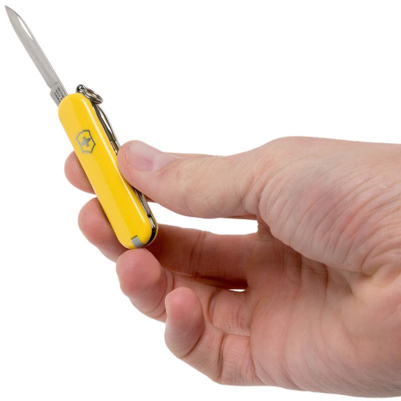 Складаний ніж Victorinox (Швейцарія) із серії Classic SD.