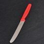 Кухонный нож Victorinox Standard Tomato&Table 5.0831 красный