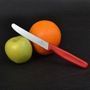 Кухонный нож Victorinox Standard Tomato&Table 5.0831 красный