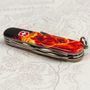 Складной нож Victorinox (Швейцария) из серии Spartan.