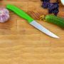 Кухонний ніж Victorinox SwissClassic Steak&Pizza 6.7936.12L4 зелений