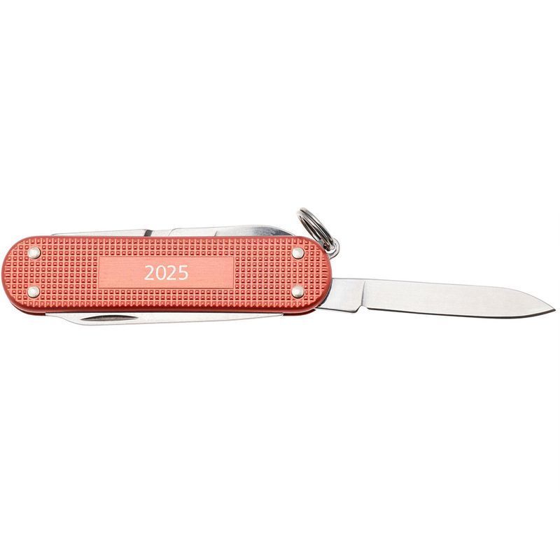 Складной нож Victorinox (Швейцария) из серии Classic SD.