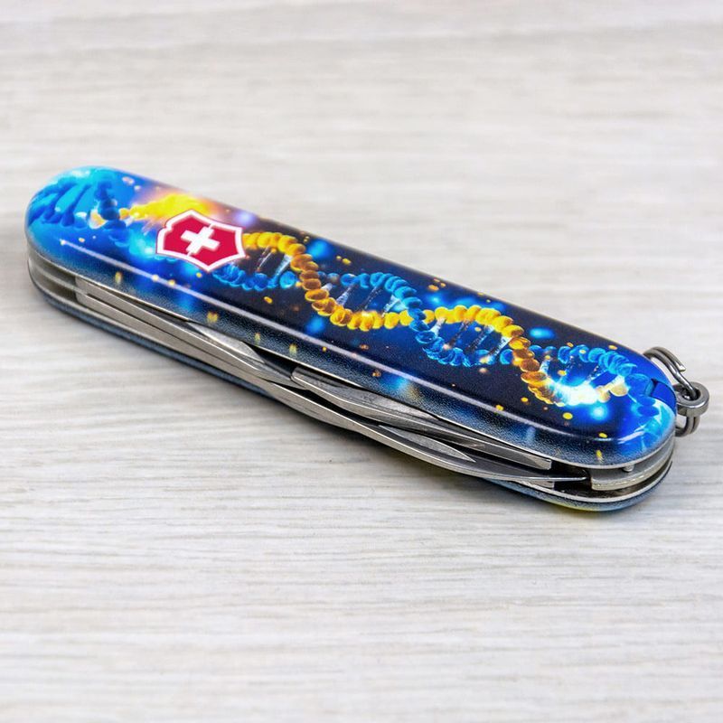 Складной нож Victorinox (Швейцария) из серии Spartan.
