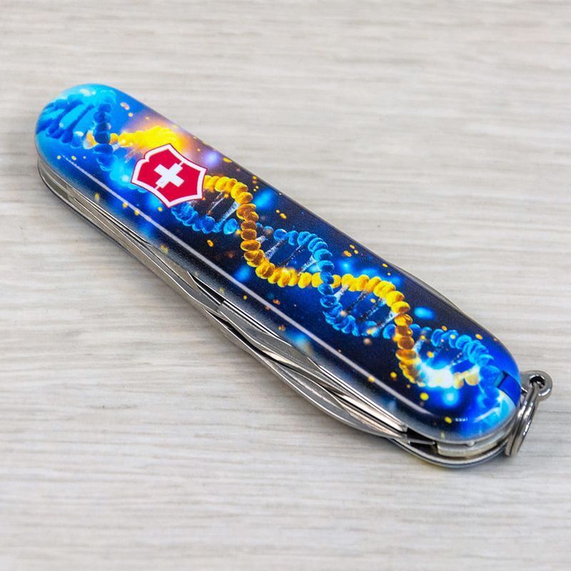Складной нож Victorinox (Швейцария) из серии Spartan.