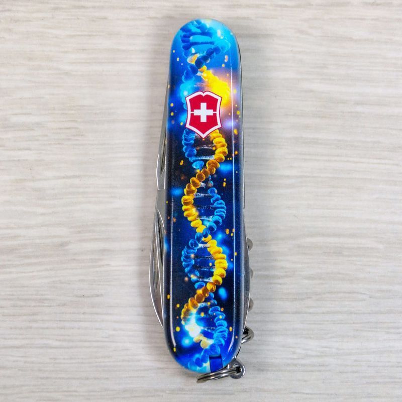 Складной нож Victorinox (Швейцария) из серии Spartan.