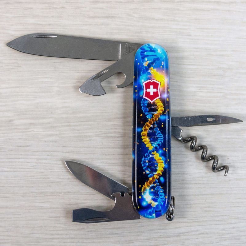 Складной нож Victorinox (Швейцария) из серии Spartan.