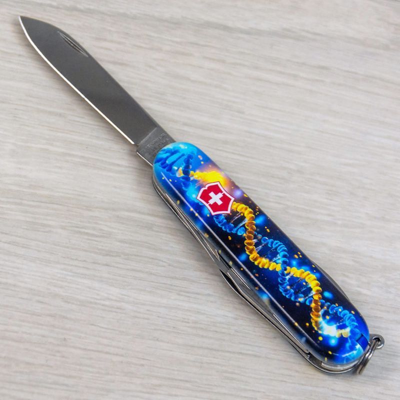 Складной нож Victorinox (Швейцария) из серии Spartan.